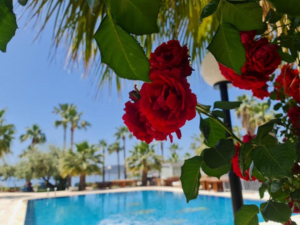 Nagi Beach Hotel Gümbet Extérieur photo