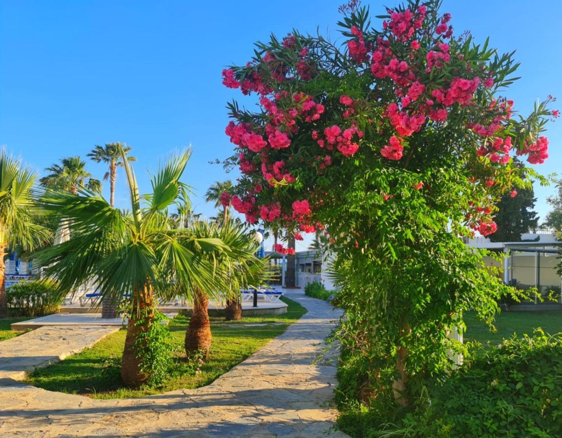 Nagi Beach Hotel Gümbet Extérieur photo