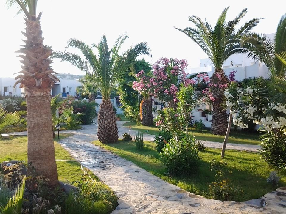 Nagi Beach Hotel Gümbet Extérieur photo